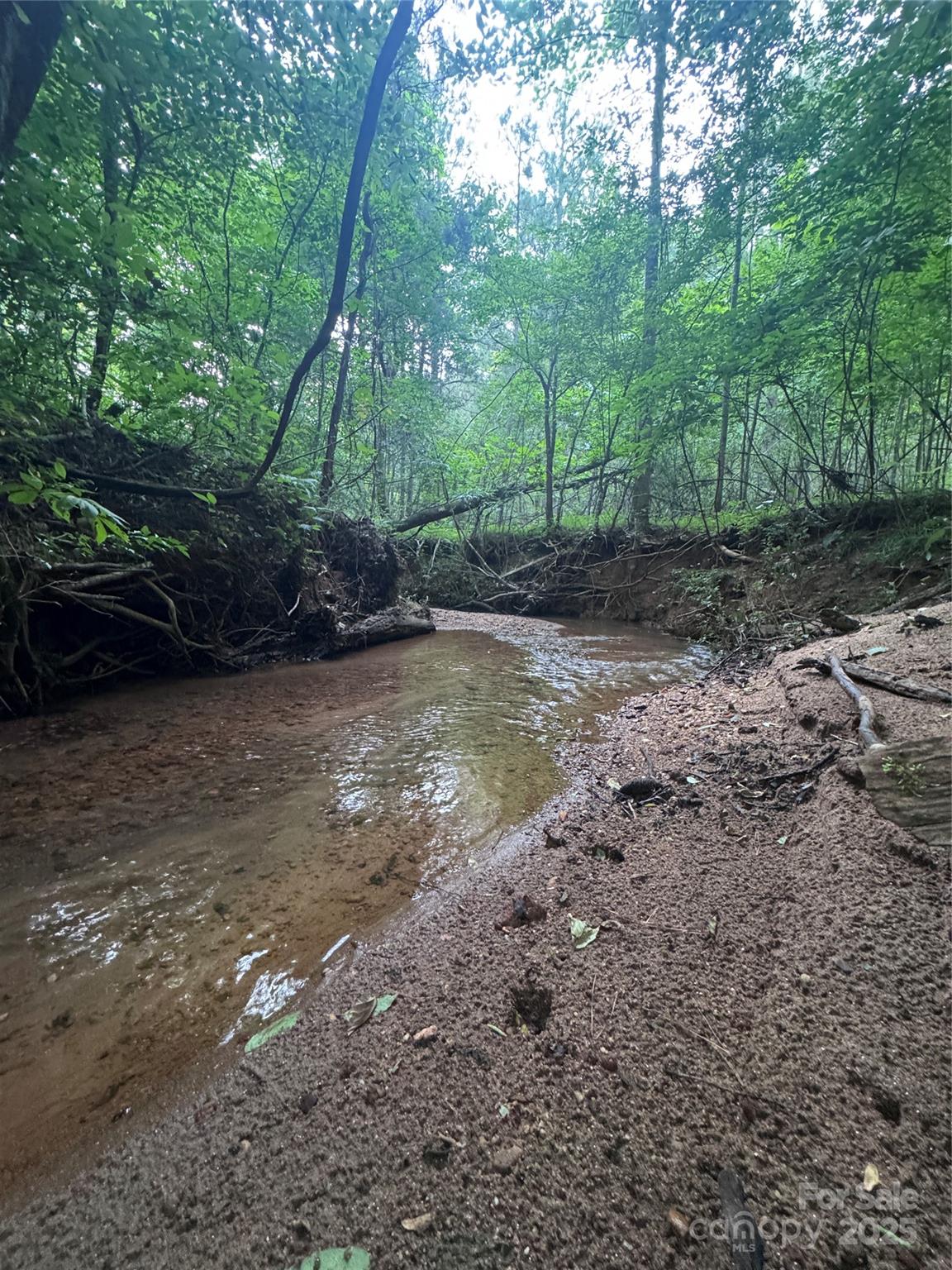 0 Clearwater Parkway 203 Property Photo 9