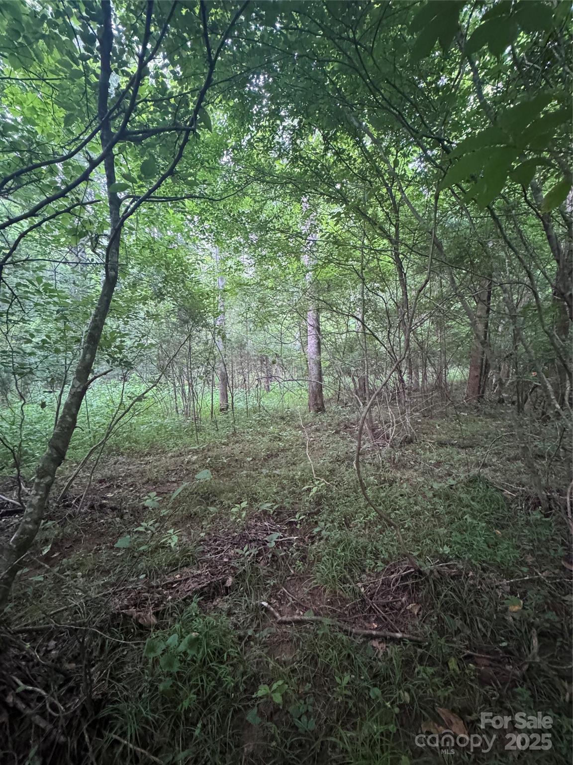 0 Clearwater Parkway 203 Property Photo 13