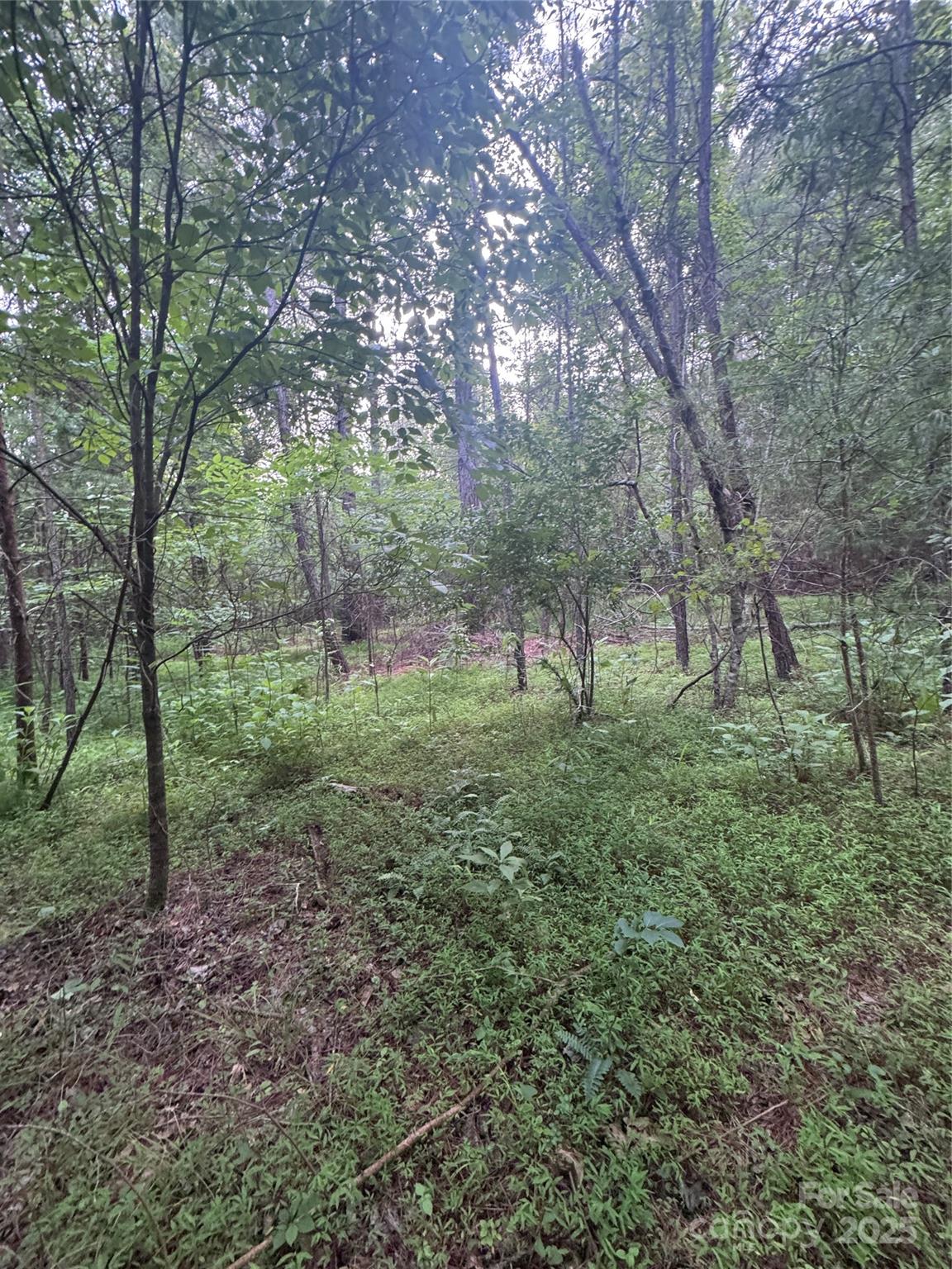 0 Clearwater Parkway 203 Property Photo 14