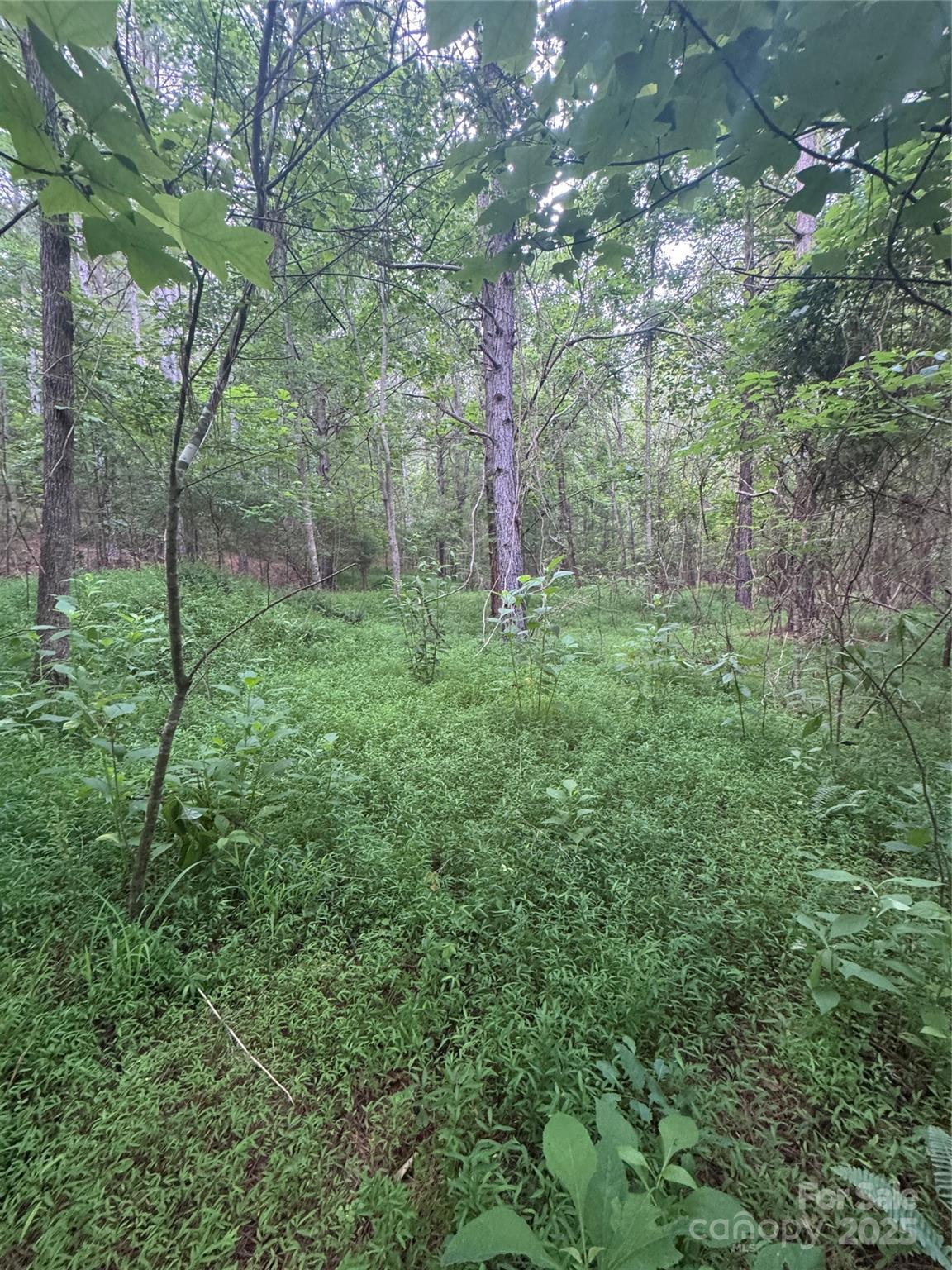 0 Clearwater Parkway 203 Property Photo 15