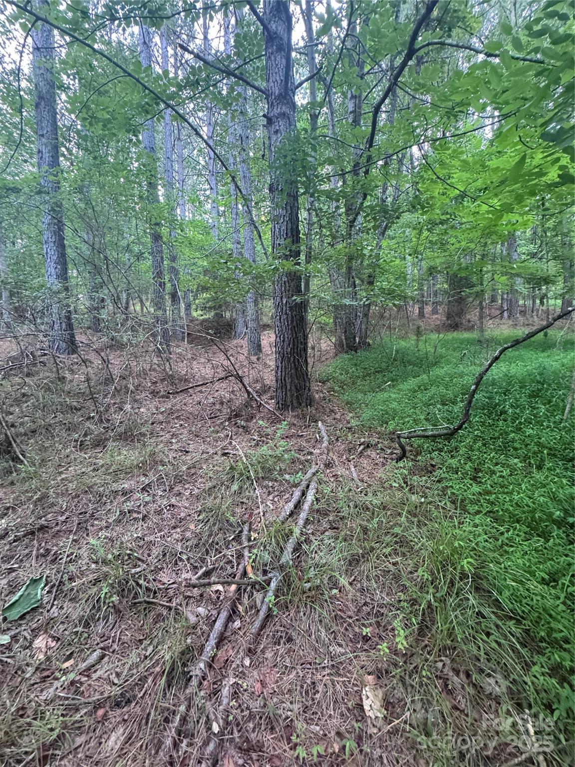 0 Clearwater Parkway 203 Property Photo 16