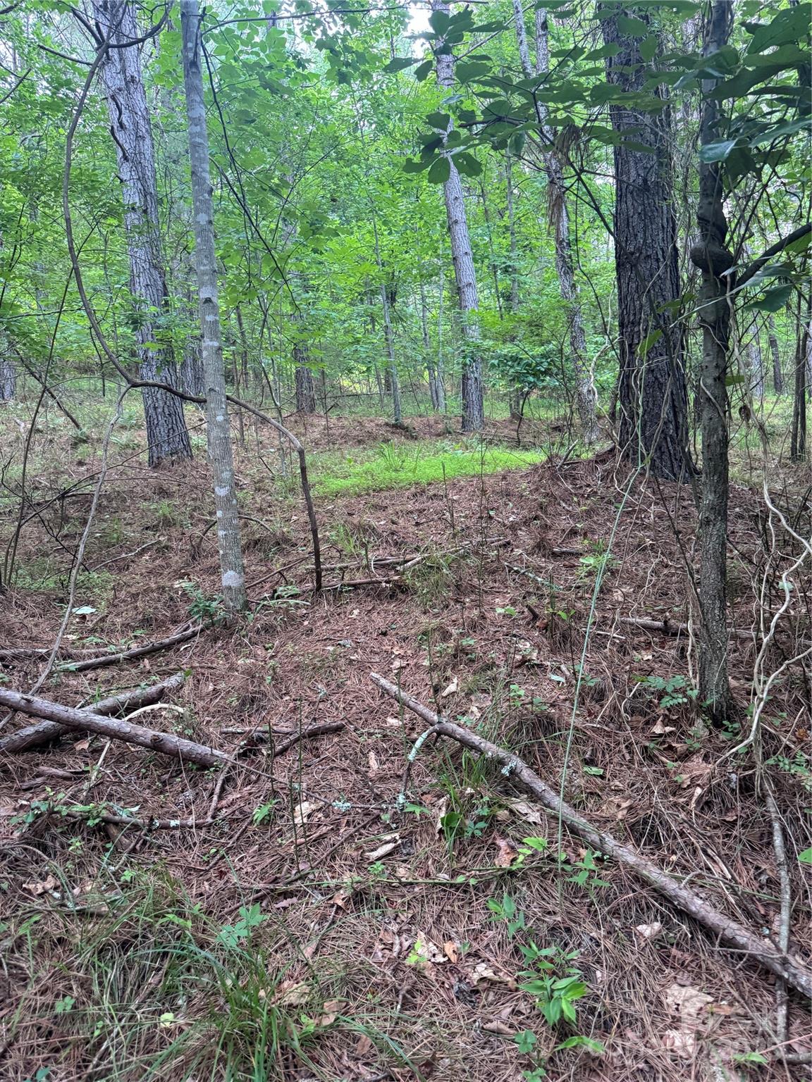 0 Clearwater Parkway 203 Property Photo 18