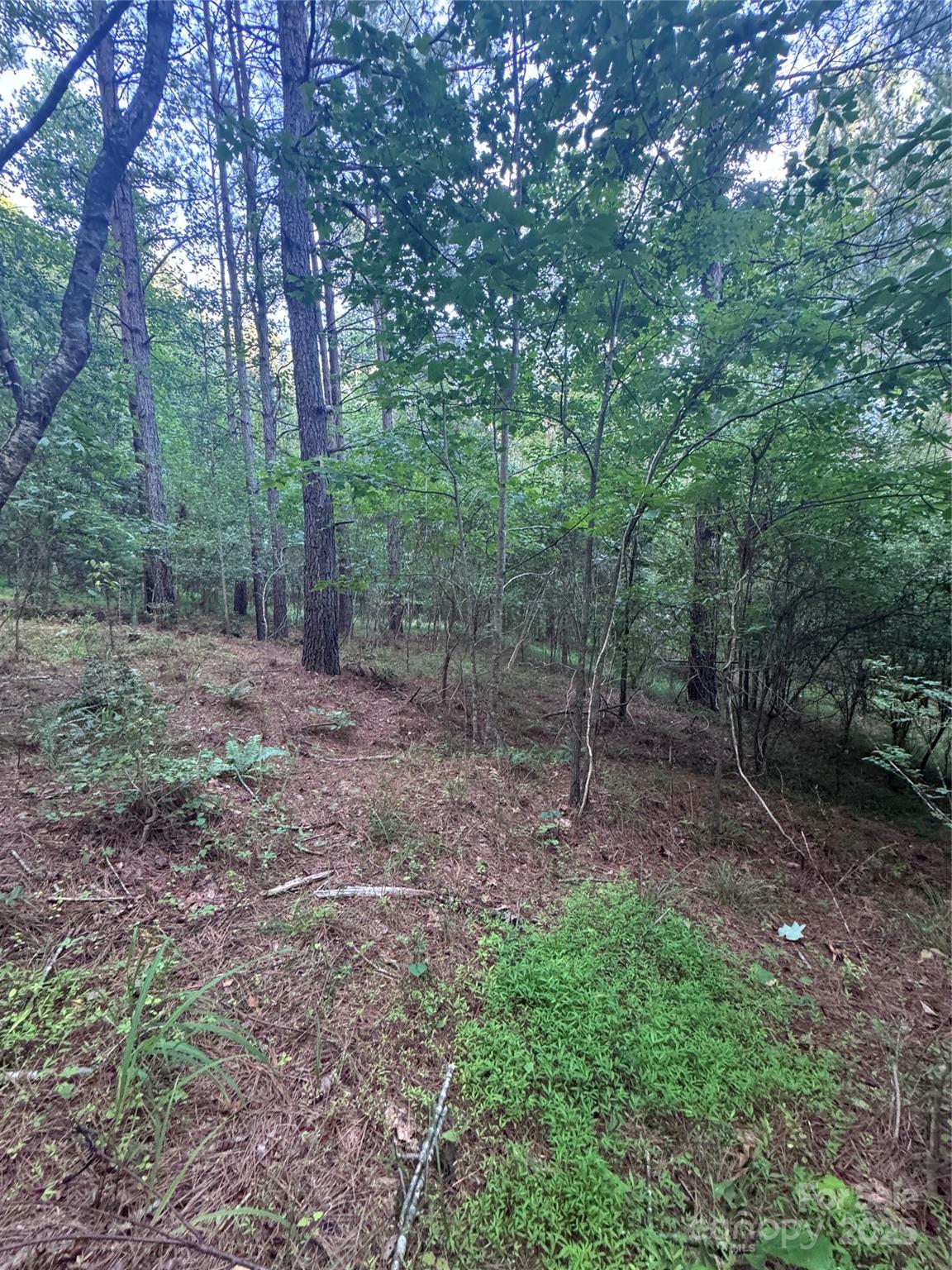 0 Clearwater Parkway 203 Property Photo 20