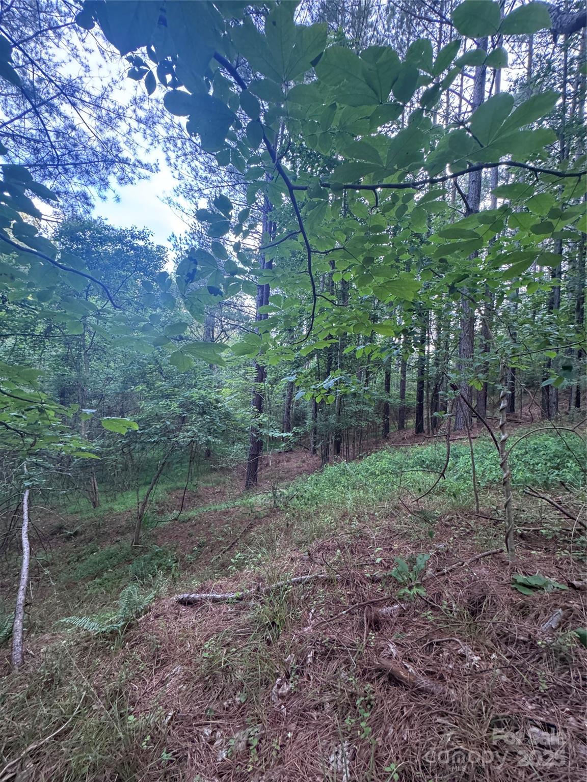 0 Clearwater Parkway 203 Property Photo 21