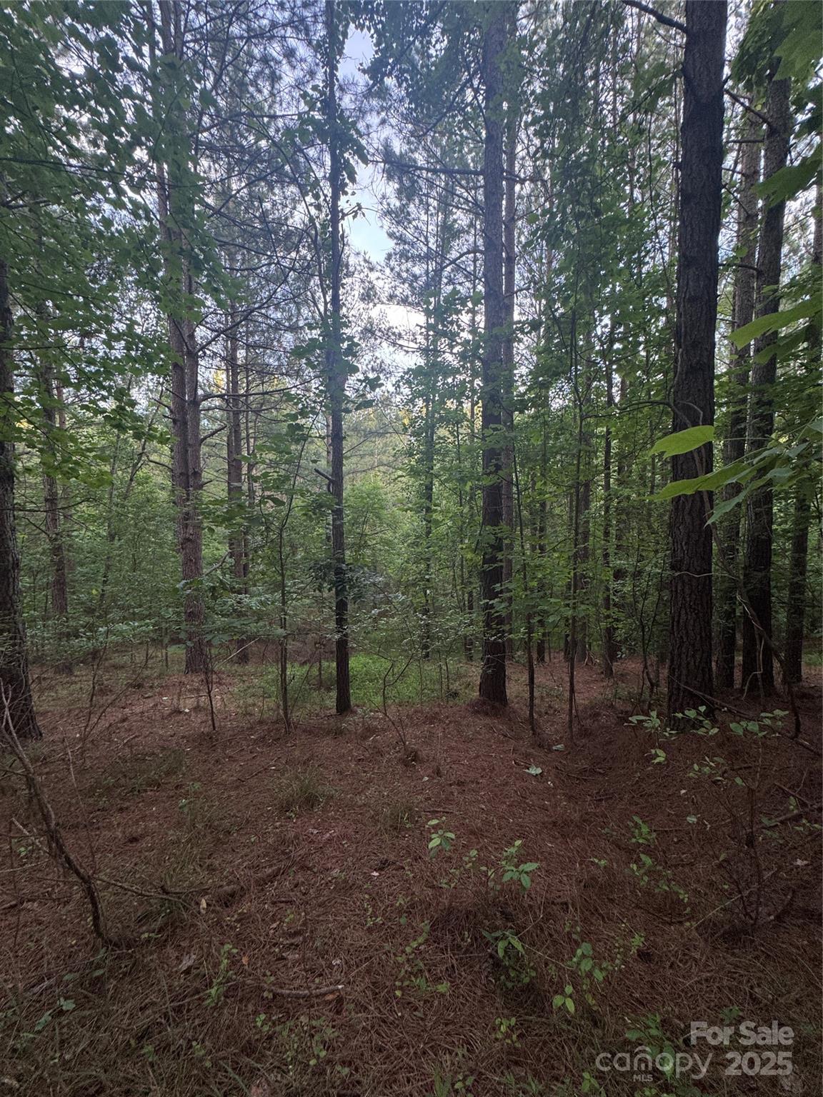 0 Clearwater Parkway 203 Property Photo 23