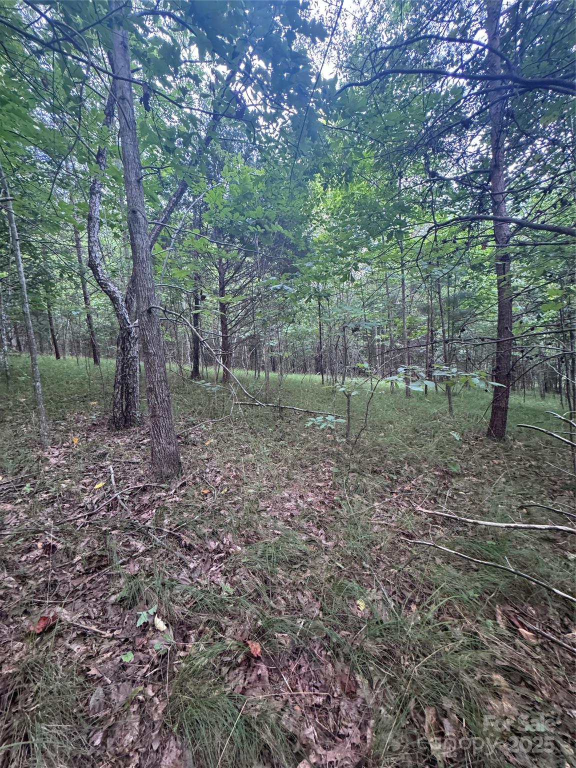 0 Cross Creek Drive 67 Property Photo 1