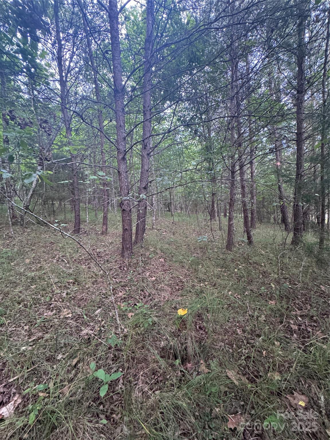 0 Cross Creek Drive 67 Property Photo 2