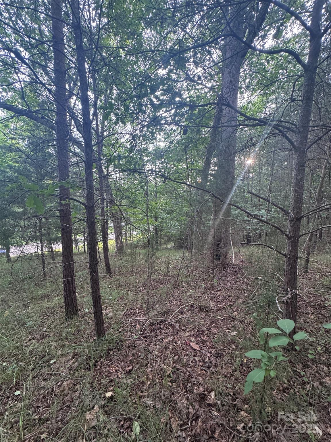 0 Cross Creek Drive 67 Property Photo 3