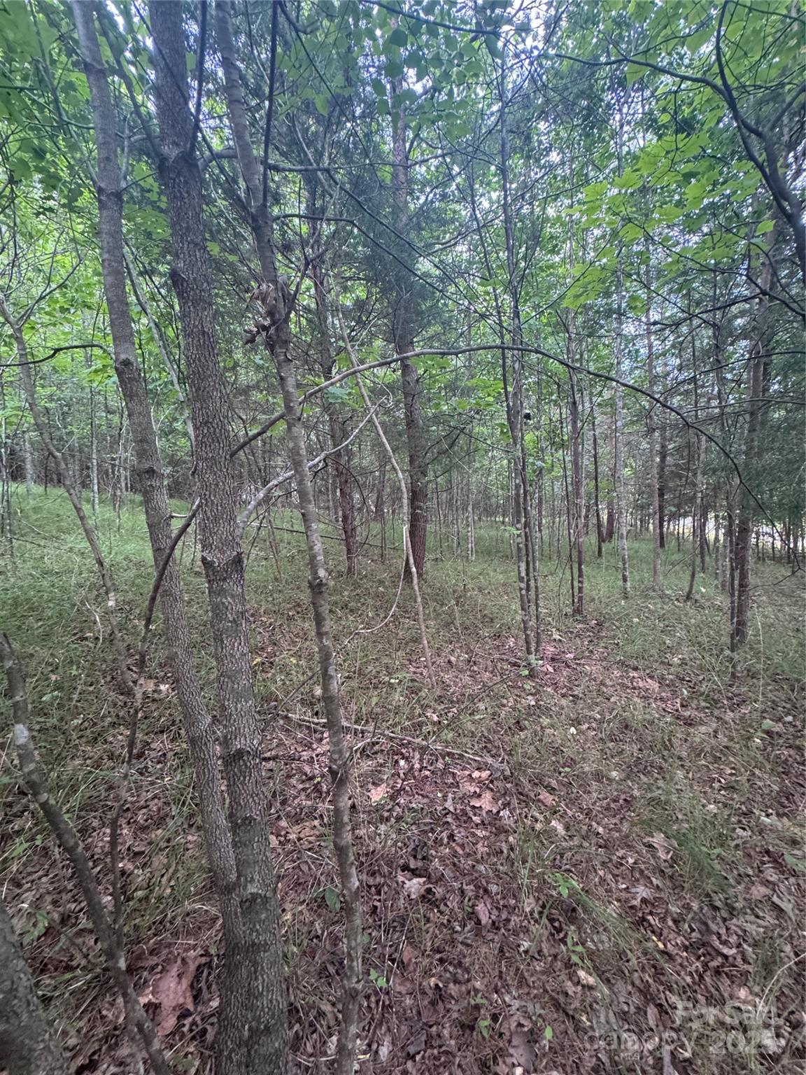 0 Cross Creek Drive 67 Property Photo 4