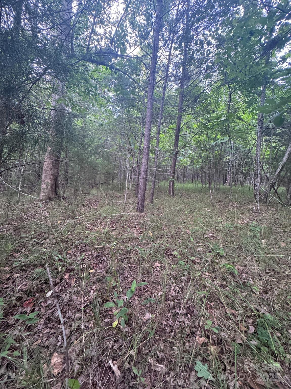 0 Cross Creek Drive 67 Property Photo 5