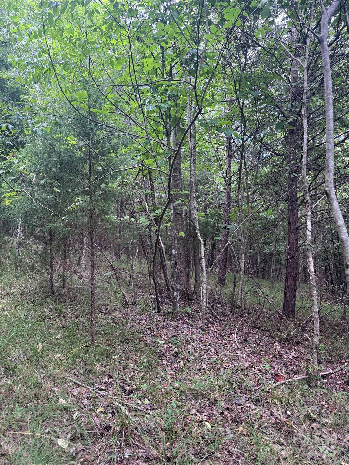 0 Cross Creek Drive 67 Property Photo 6