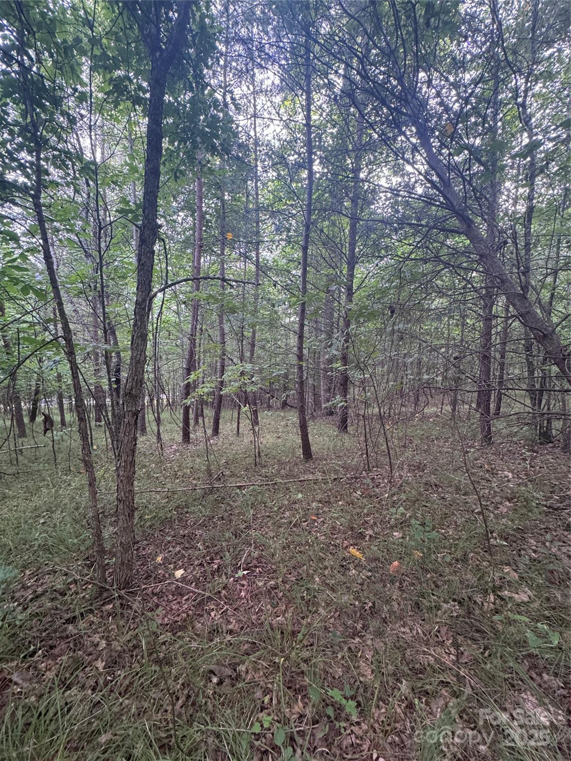 0 Cross Creek Drive 67 Property Photo 7