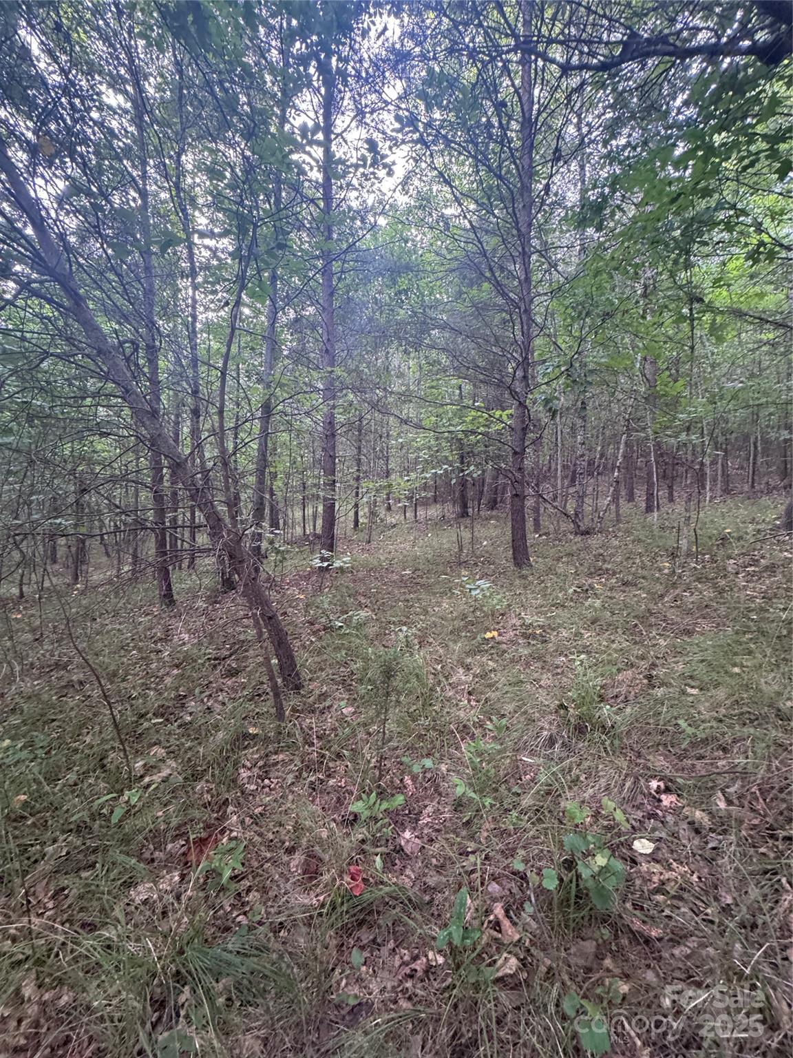 0 Cross Creek Drive 67 Property Photo 8