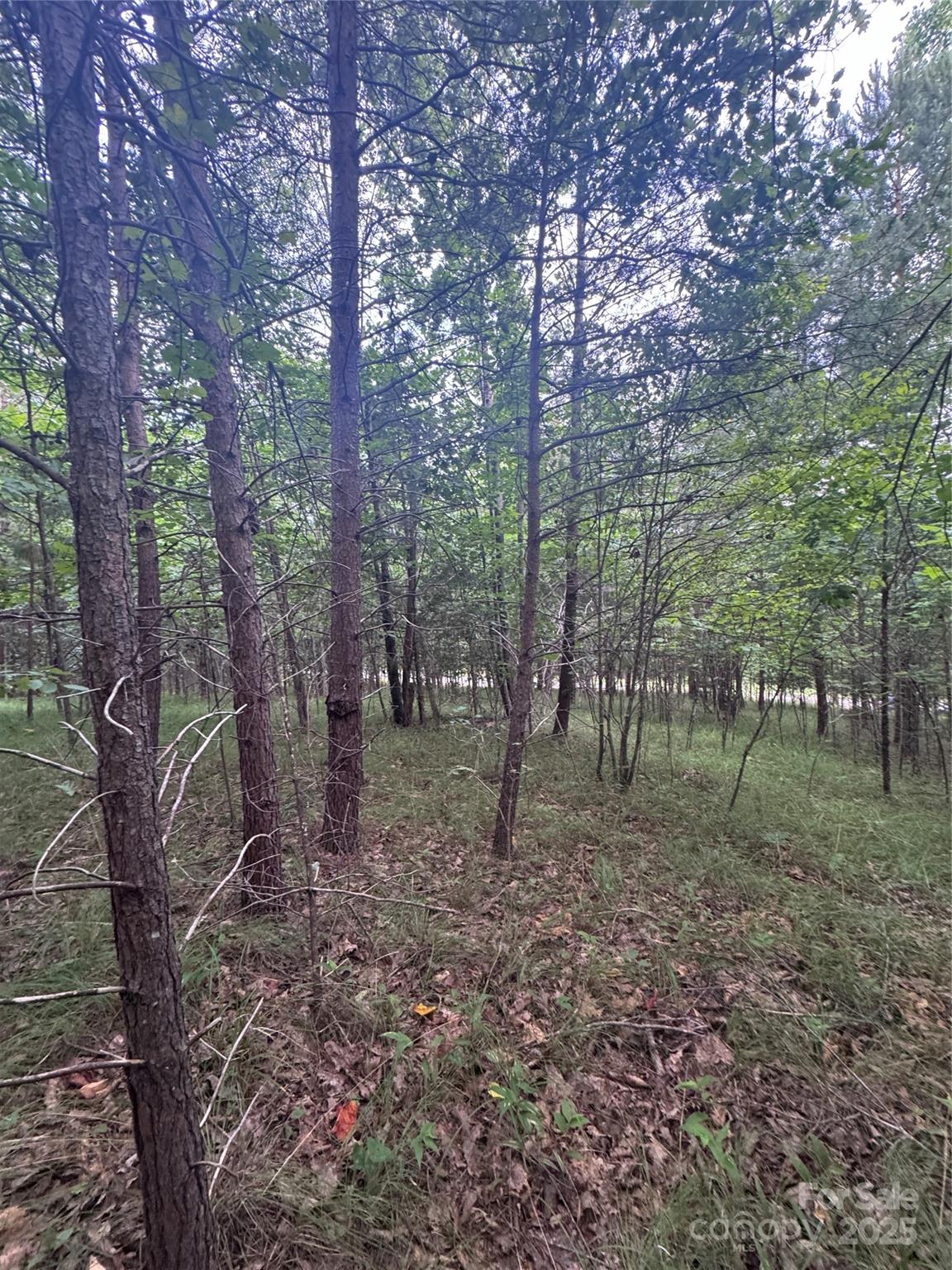 0 Cross Creek Drive 67 Property Photo 9