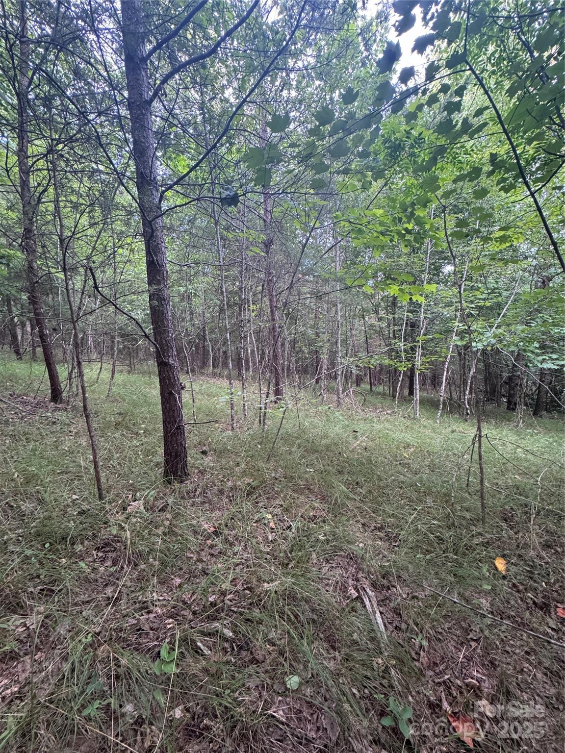 0 Cross Creek Drive 67 Property Photo 10