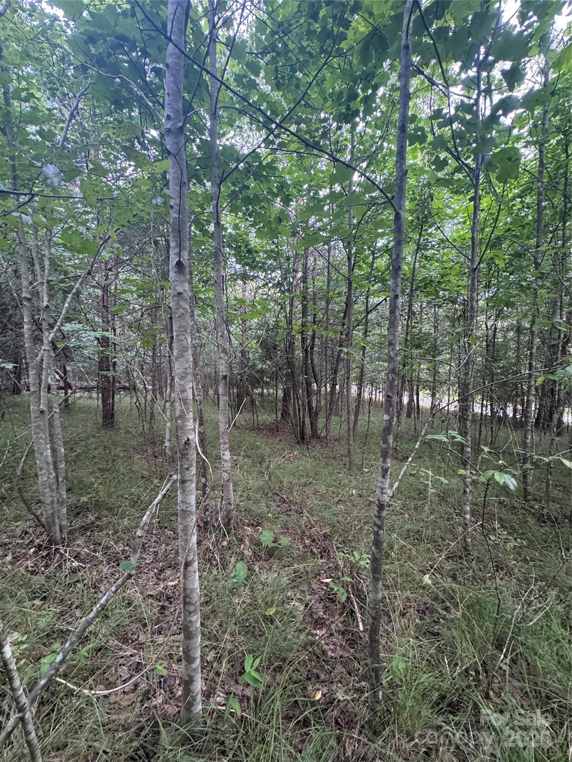 0 Cross Creek Drive 67 Property Photo 11