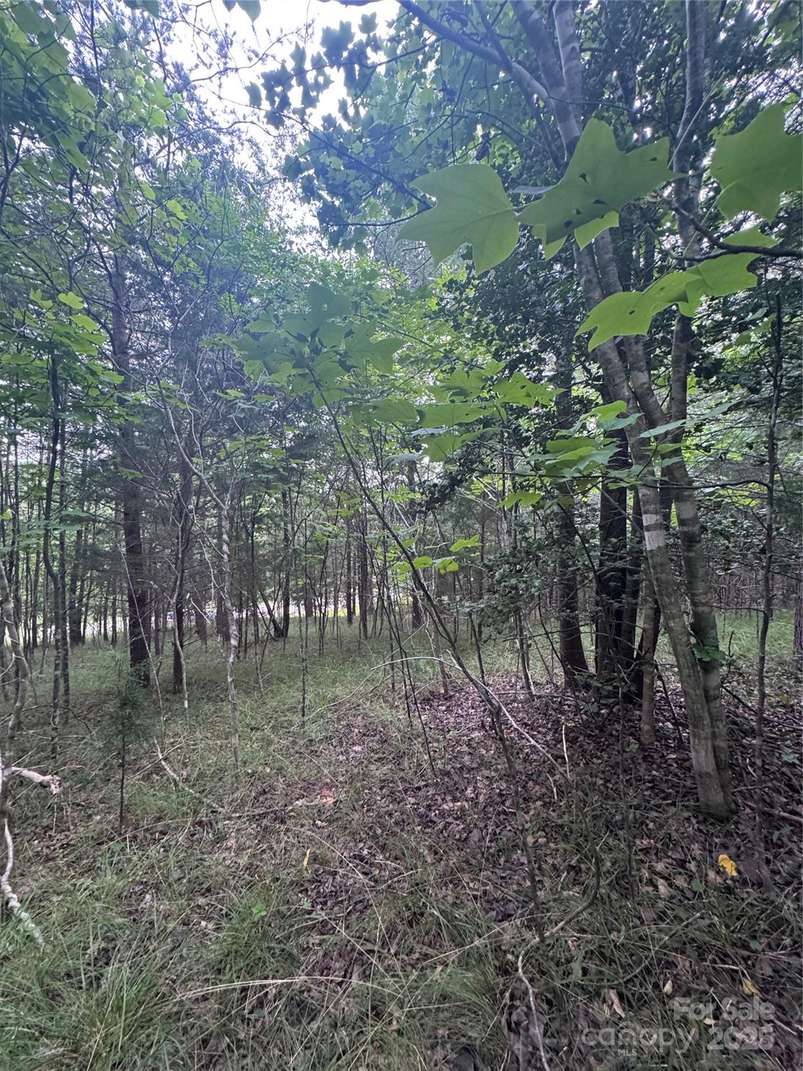 0 Cross Creek Drive 67 Property Photo 12