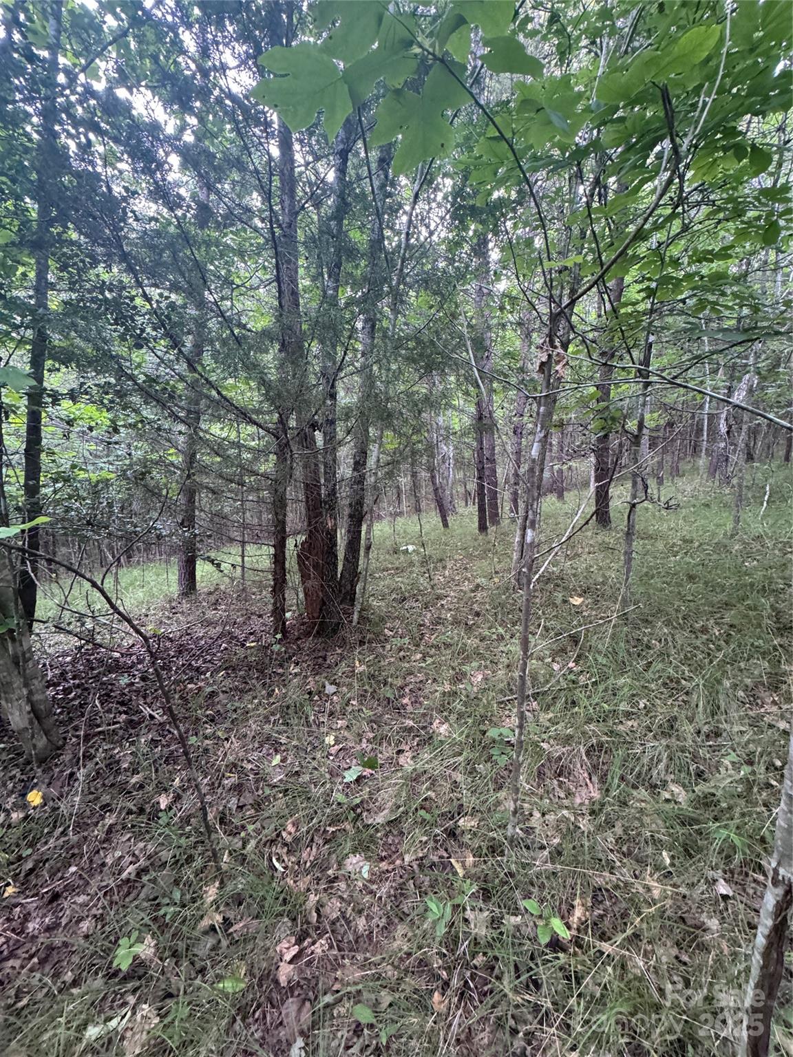 0 Cross Creek Drive 67 Property Photo 13