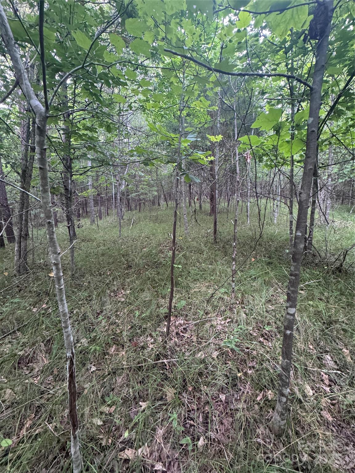 0 Cross Creek Drive 67 Property Photo 14