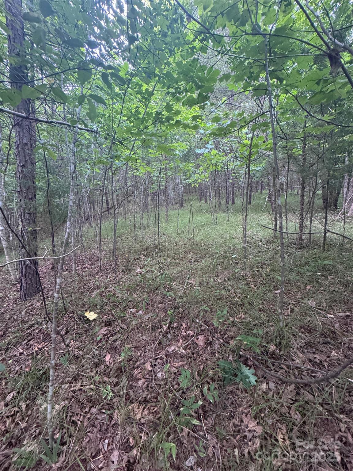 0 Cross Creek Drive 67 Property Photo 16