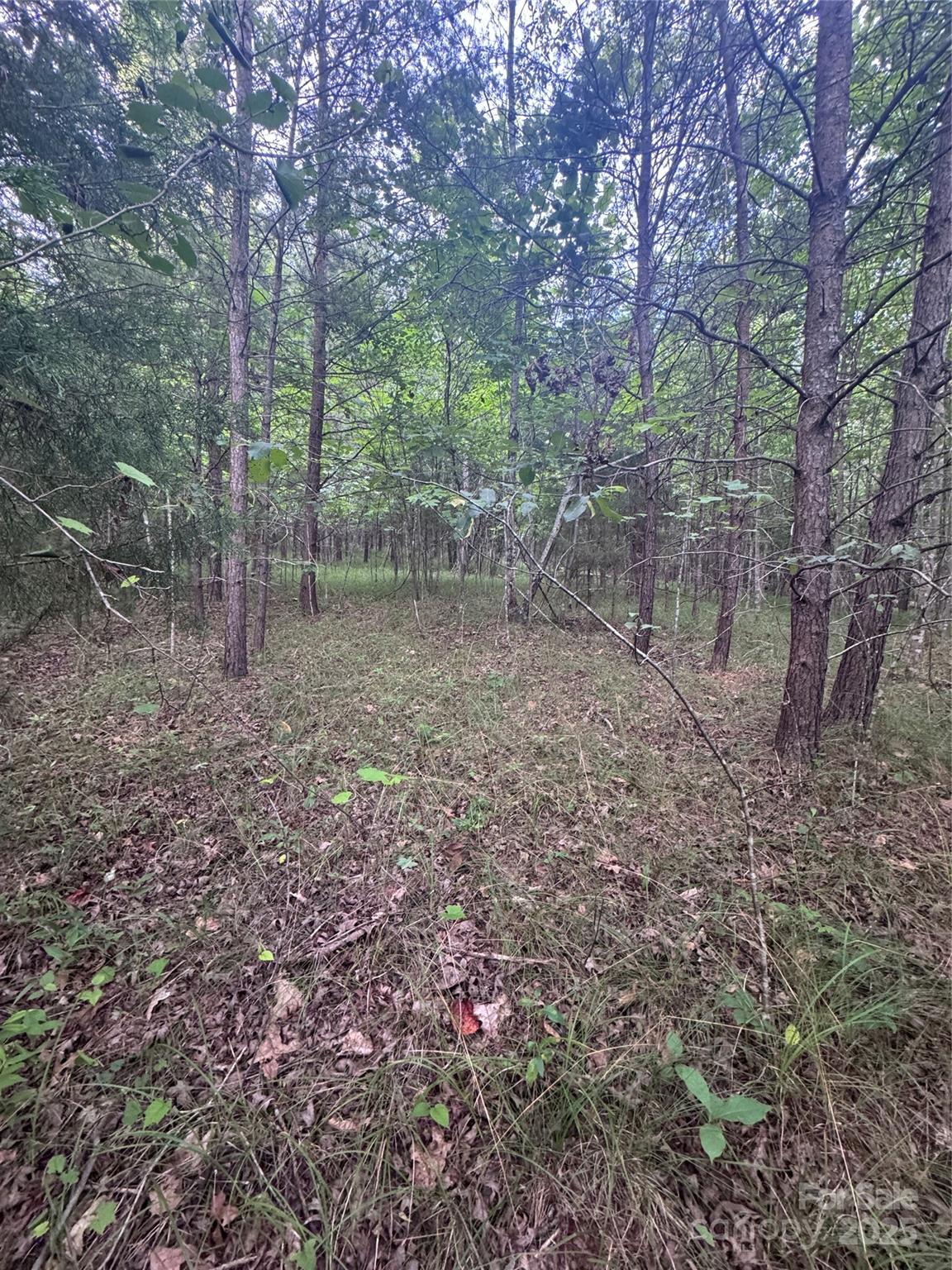 0 Cross Creek Drive 67 Property Photo 17