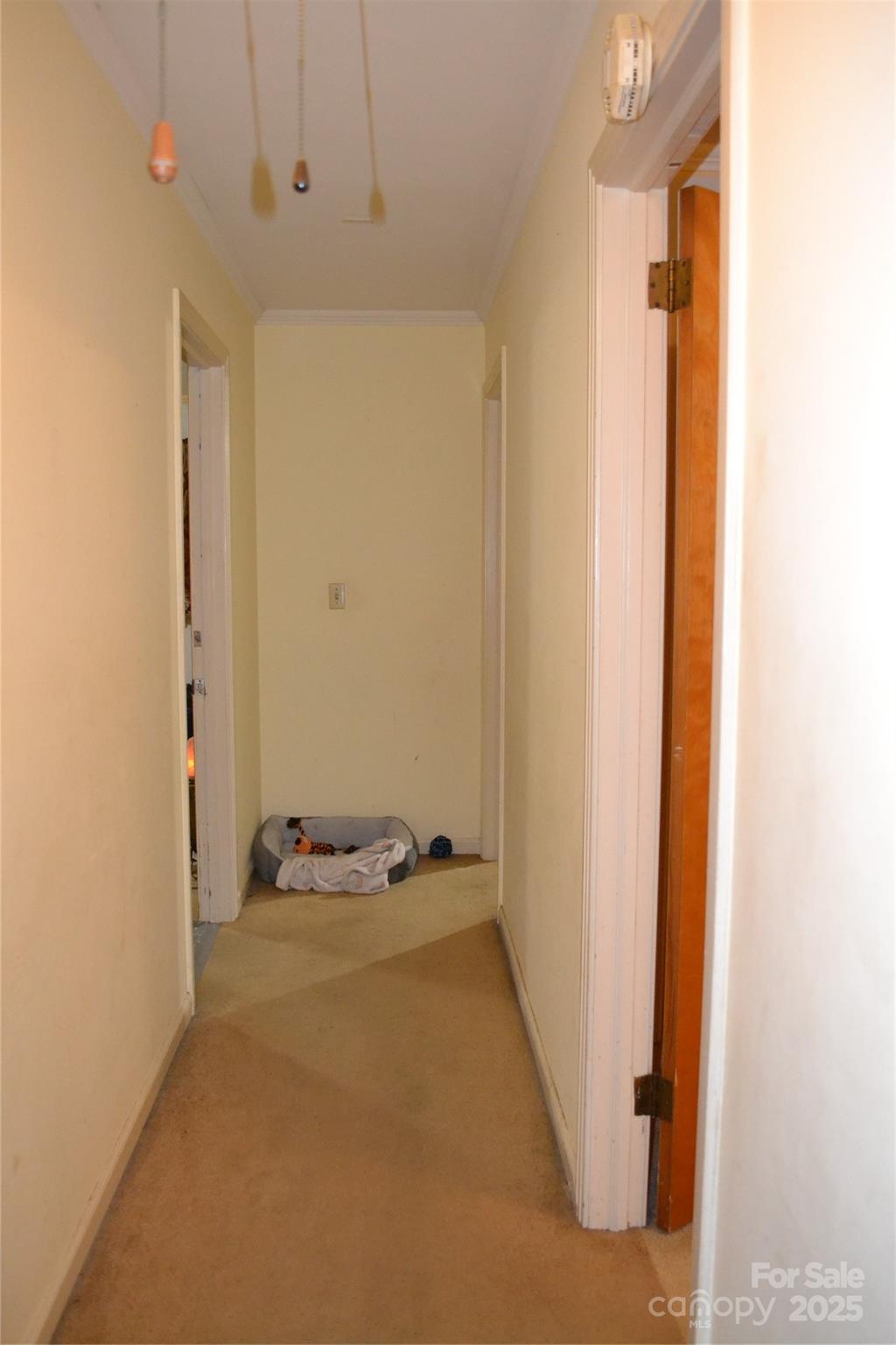 405 Wesley Heights Drive Property Photo 13