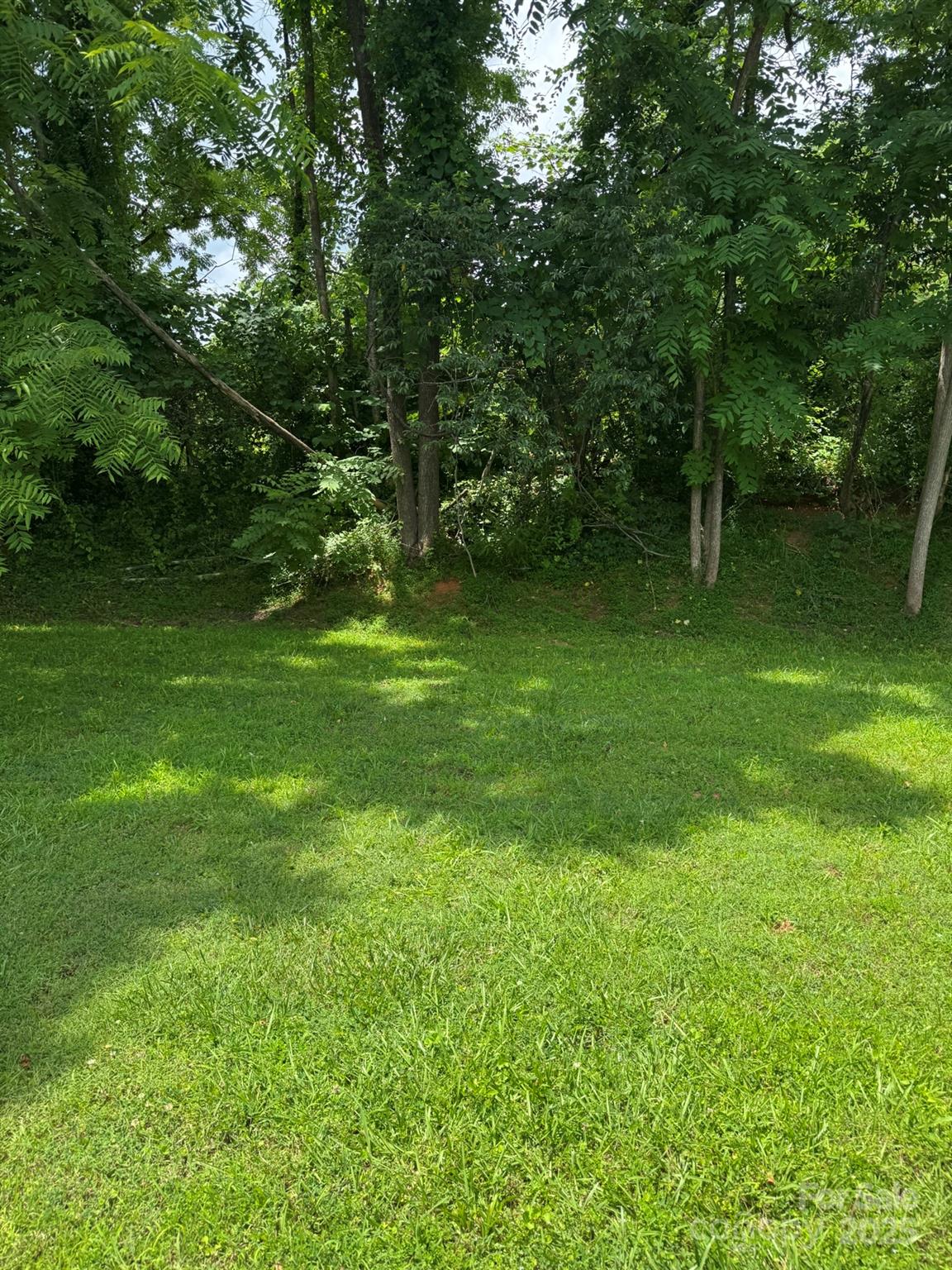 81 Simms Street Property Photo 16