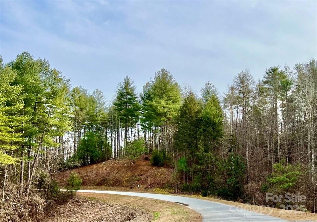 Lot 77, 1712 Round Mountain Parkway Lot 77 Property Photo 1