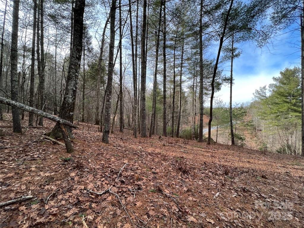 Lot 77, 1712 Round Mountain Parkway Lot 77 Property Photo 2