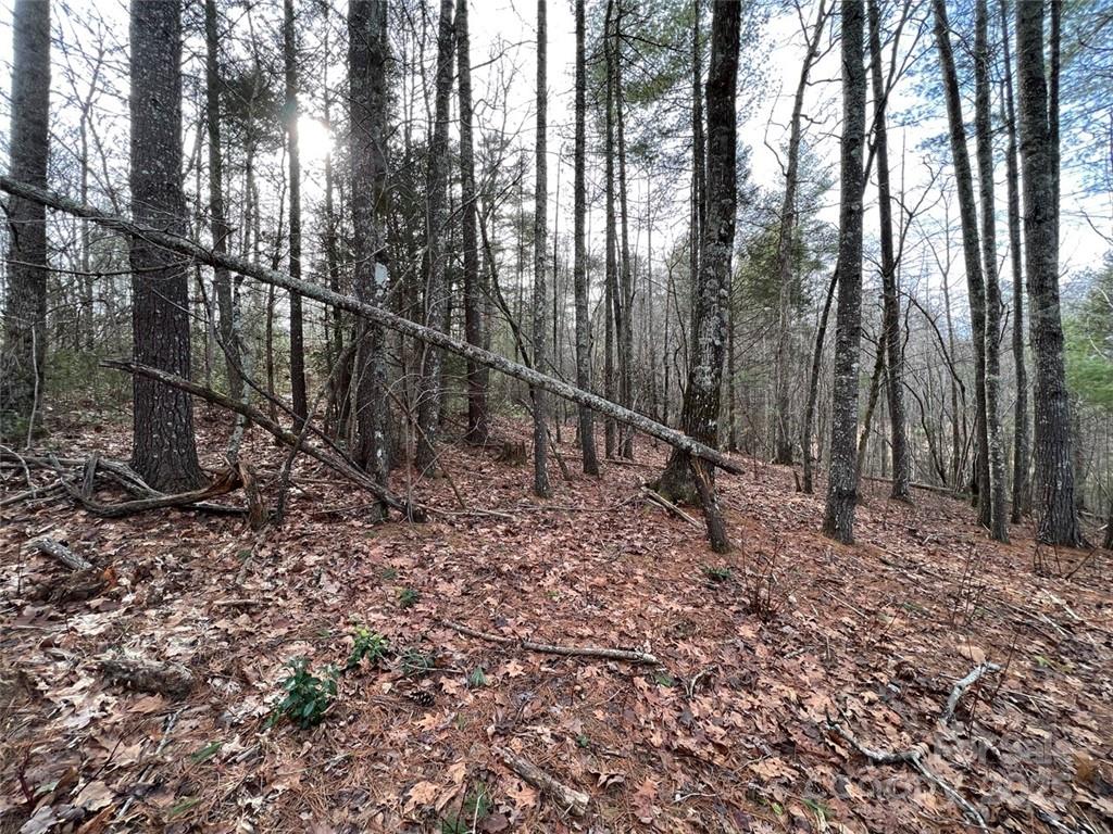 Lot 77, 1712 Round Mountain Parkway Lot 77 Property Photo 3