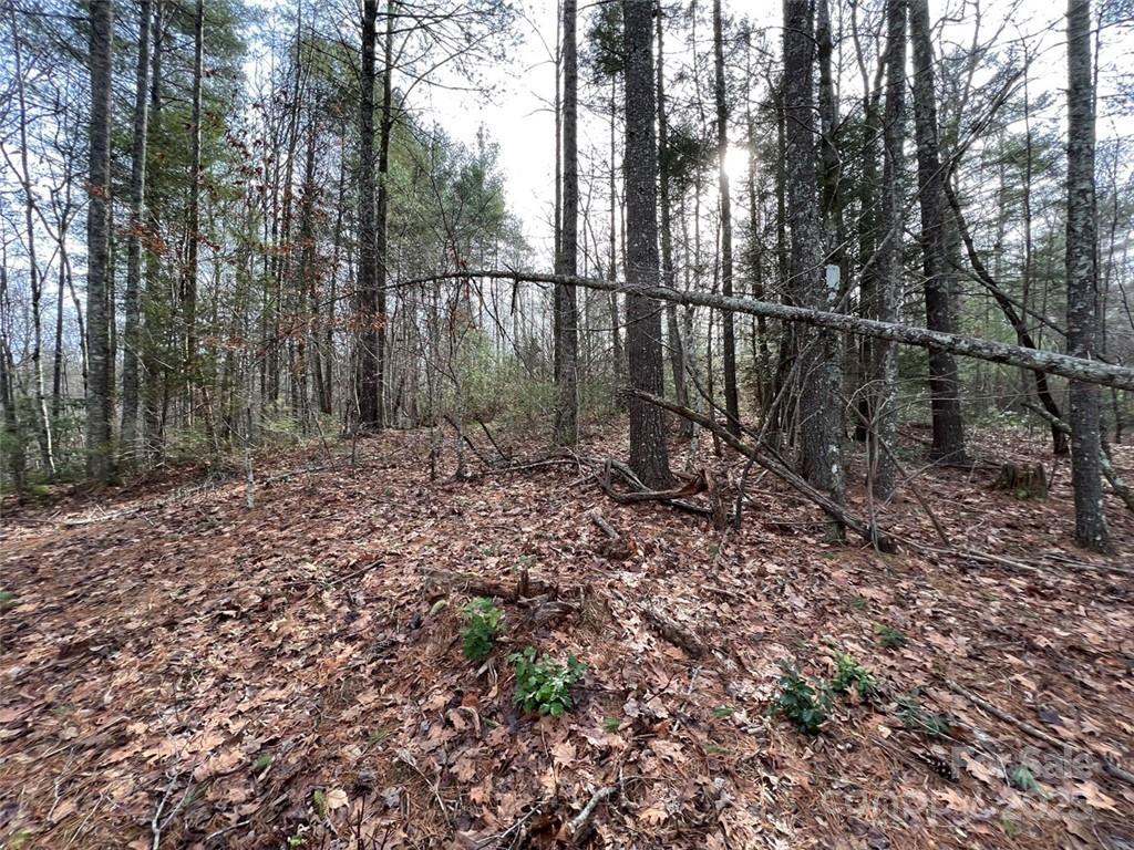 Lot 77, 1712 Round Mountain Parkway Lot 77 Property Photo 4