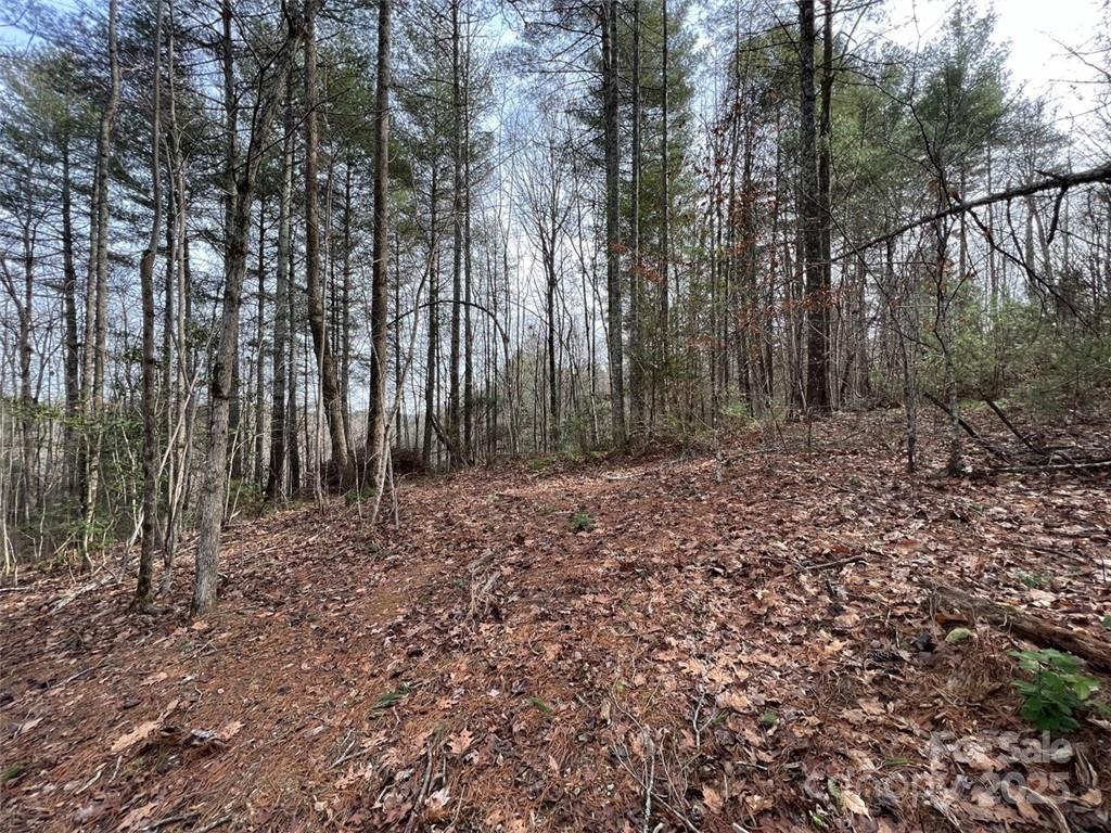 Lot 77, 1712 Round Mountain Parkway Lot 77 Property Photo 5
