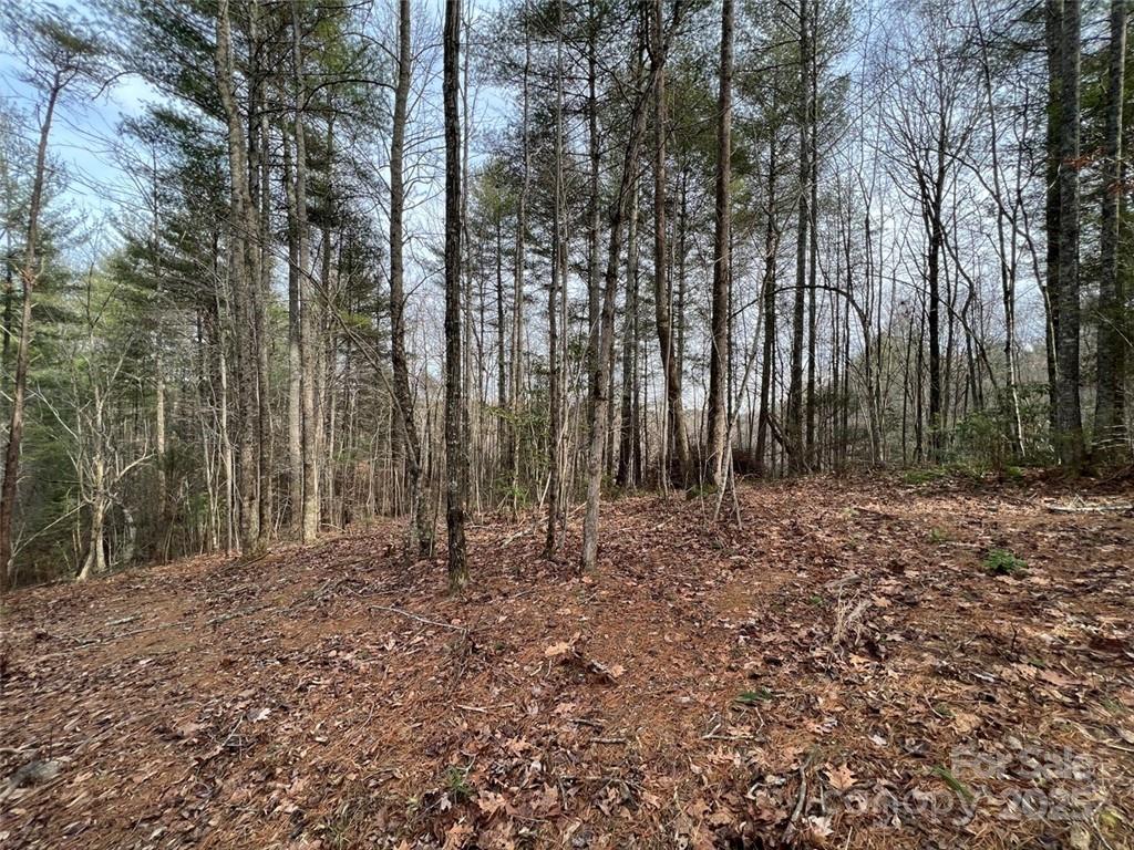 Lot 77, 1712 Round Mountain Parkway Lot 77 Property Photo 6