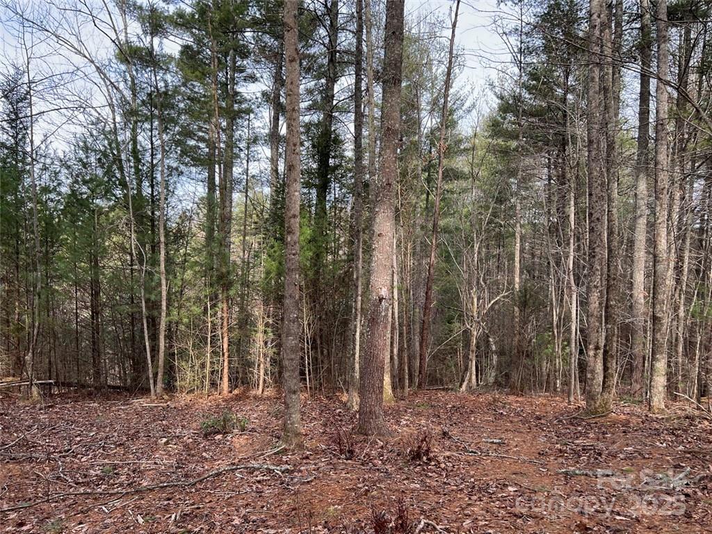 Lot 77, 1712 Round Mountain Parkway Lot 77 Property Photo 7