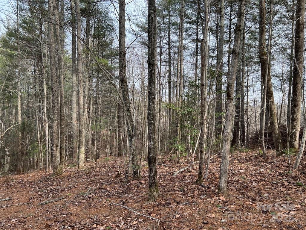 Lot 77, 1712 Round Mountain Parkway Lot 77 Property Photo 8