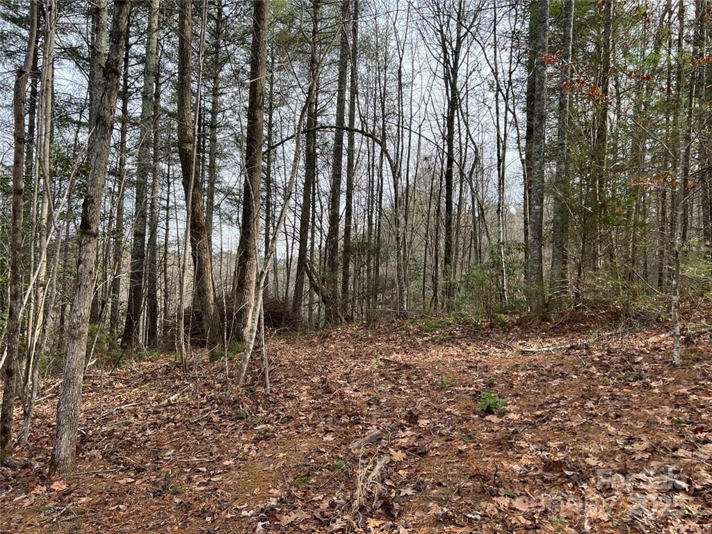 Lot 77, 1712 Round Mountain Parkway Lot 77 Property Photo 9