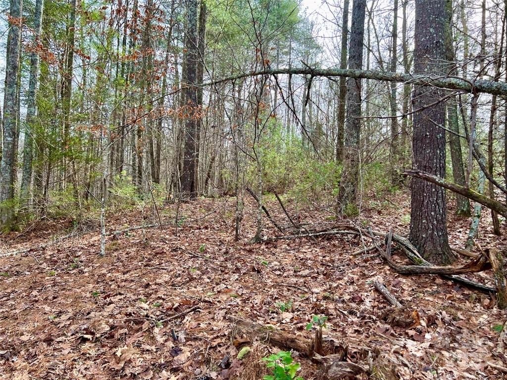 Lot 77, 1712 Round Mountain Parkway Lot 77 Property Photo 10