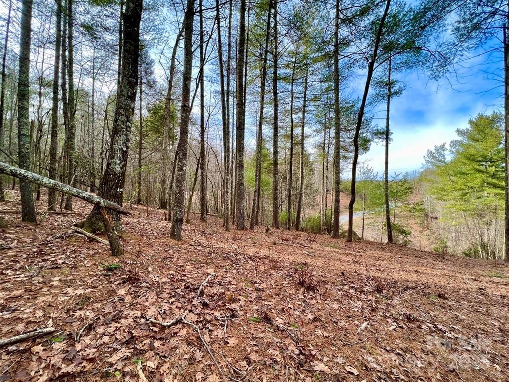Lot 77, 1712 Round Mountain Parkway Lot 77 Property Photo 11