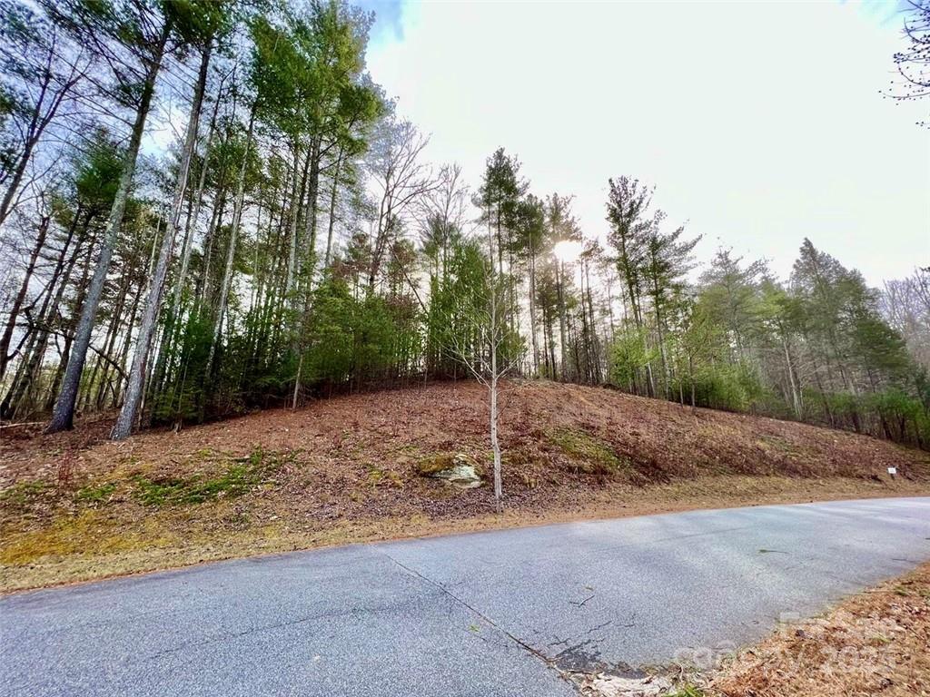 Lot 77, 1712 Round Mountain Parkway Lot 77 Property Photo 13