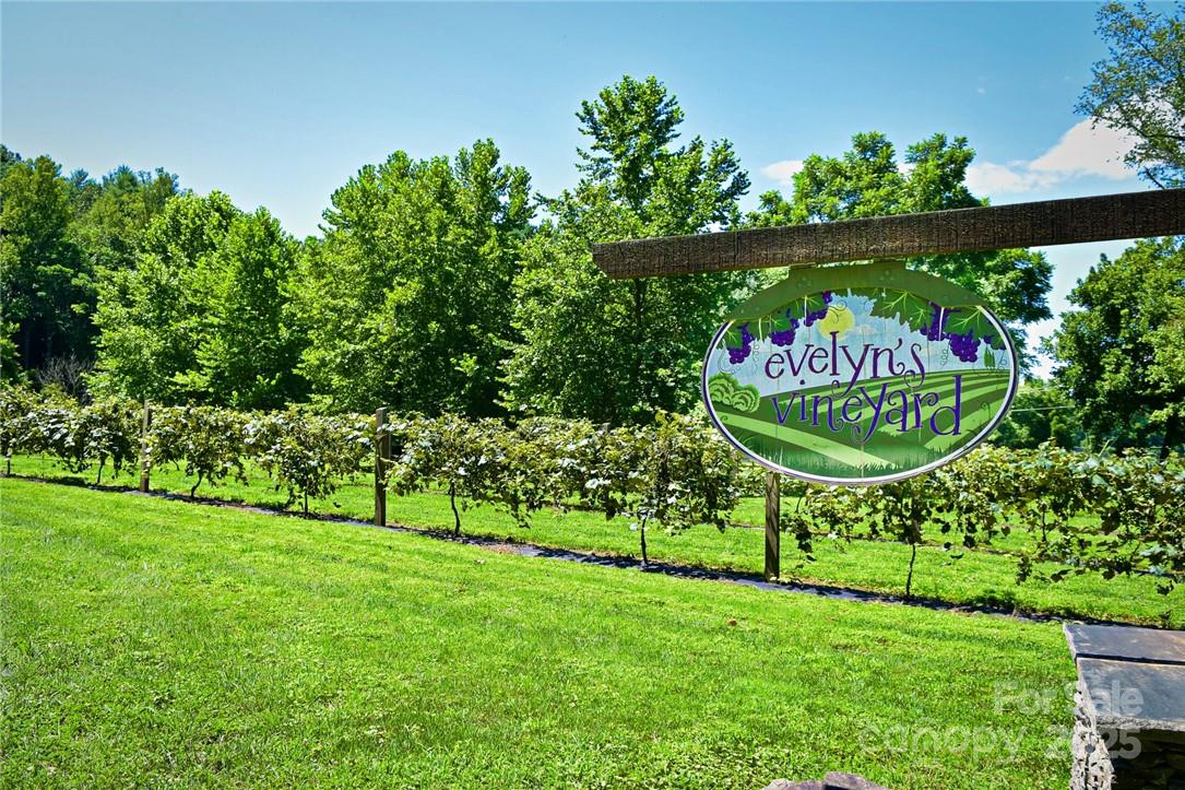 Lot 77, 1712 Round Mountain Parkway Lot 77 Property Photo 19