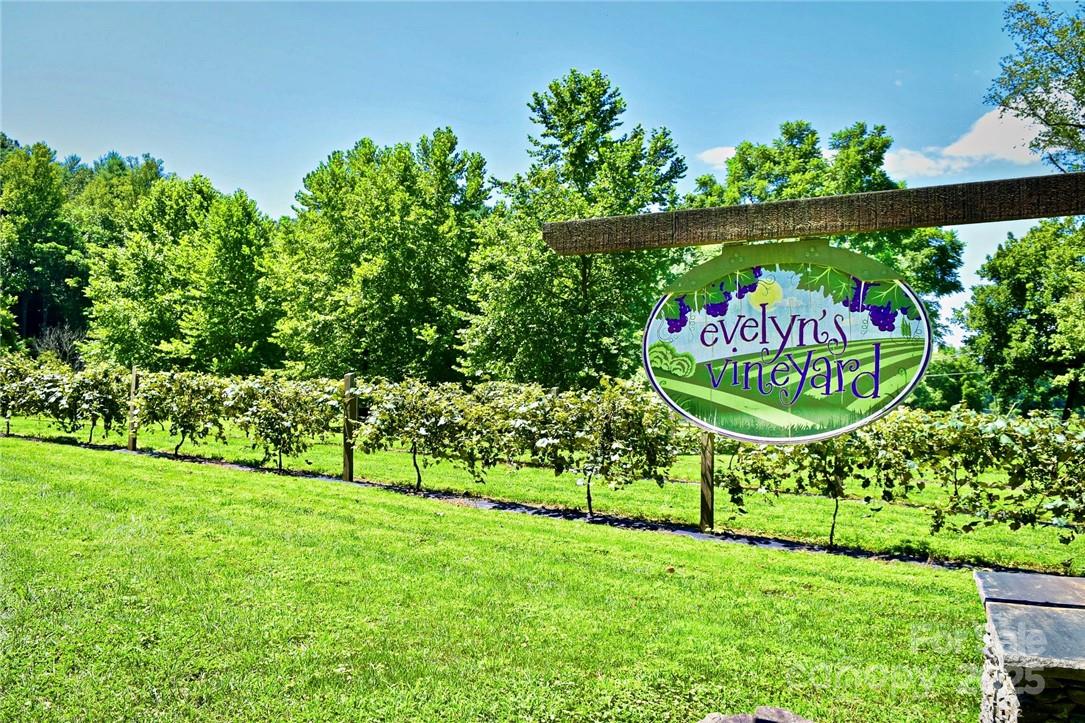 Lot 77, 1712 Round Mountain Parkway Lot 77 Property Photo 33