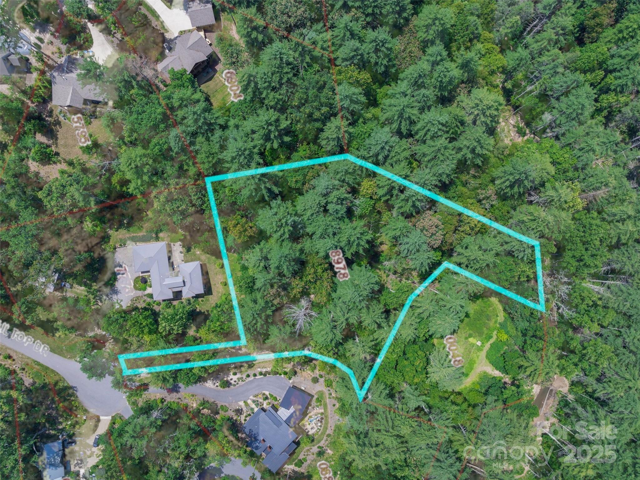 52 Trail Top Drive Property Photo 1