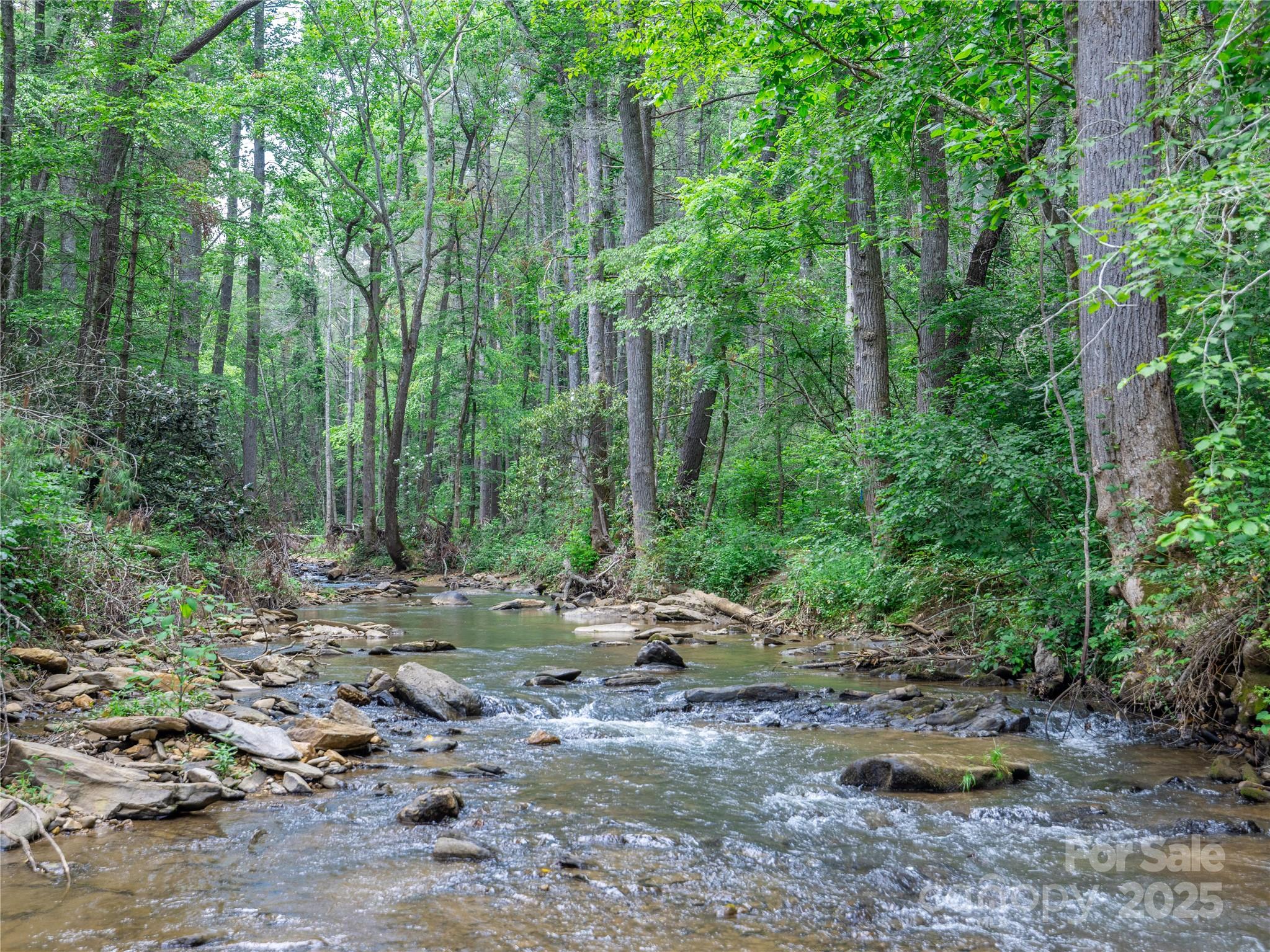 52 Trail Top Drive Property Photo 2