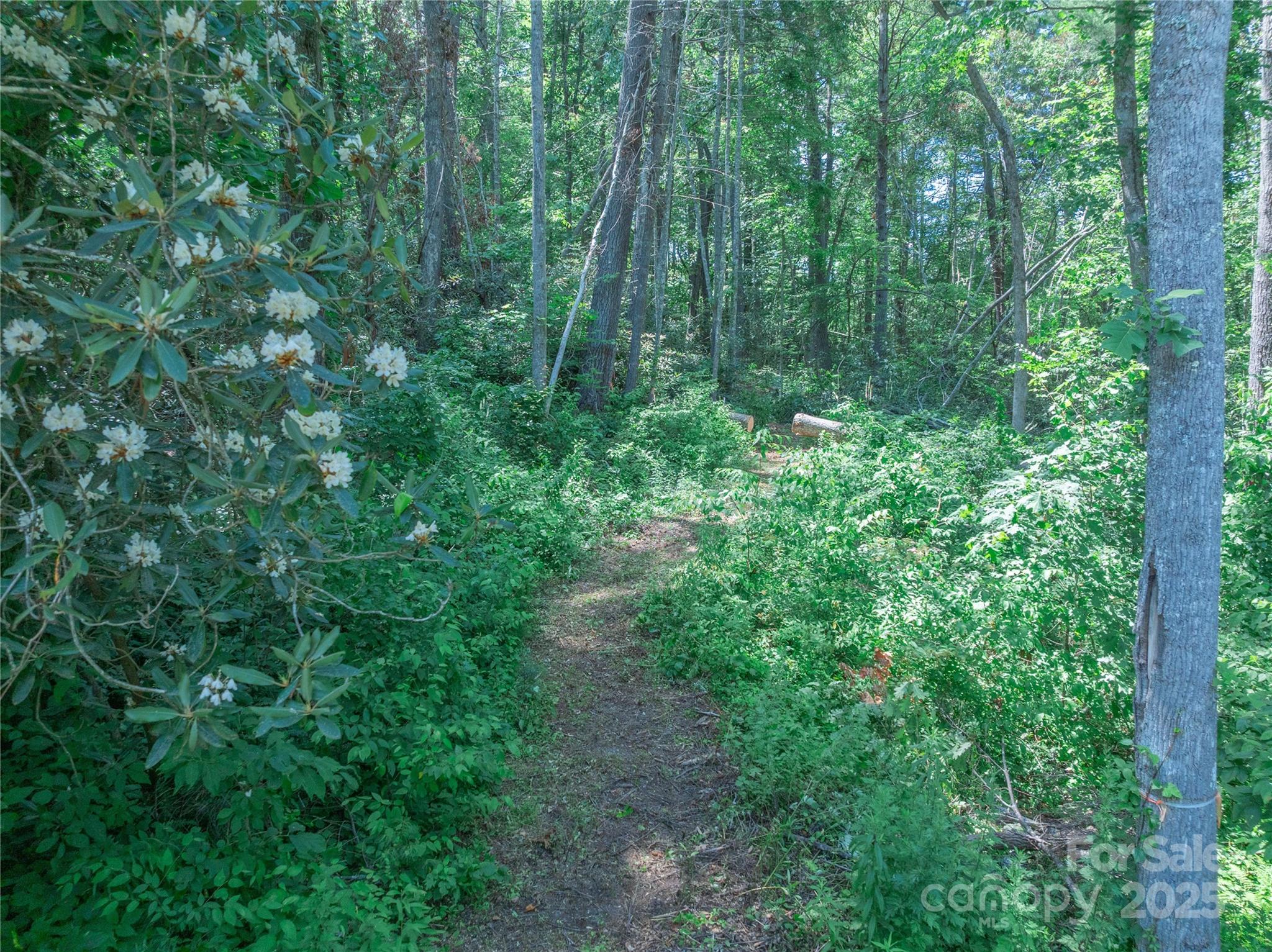 52 Trail Top Drive Property Photo 9