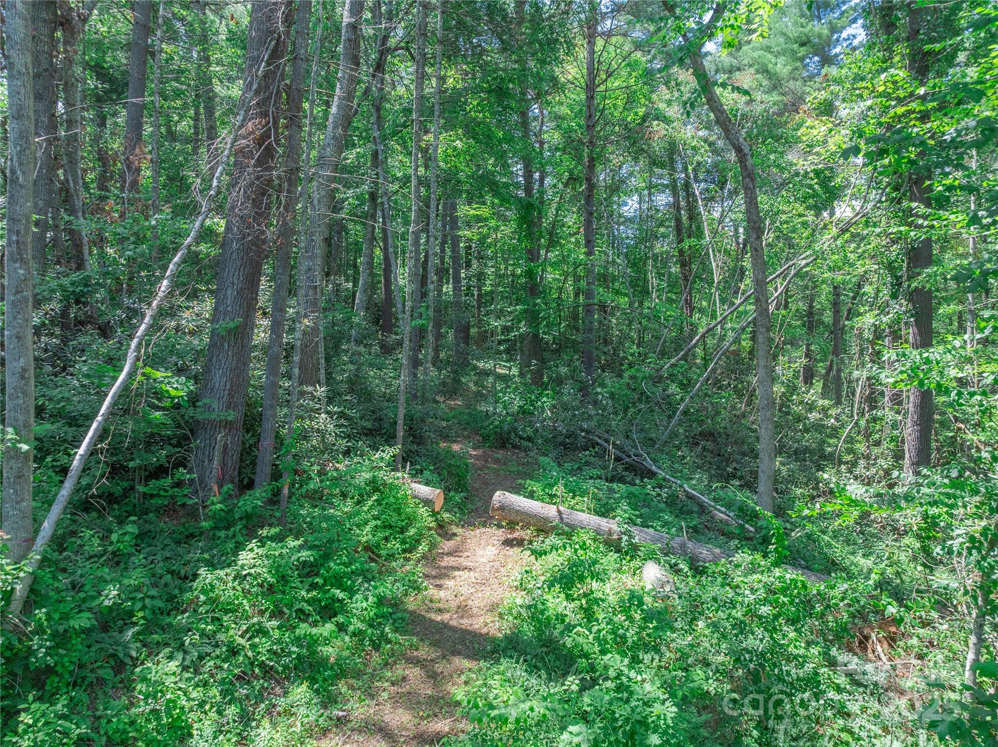 52 Trail Top Drive Property Photo 10