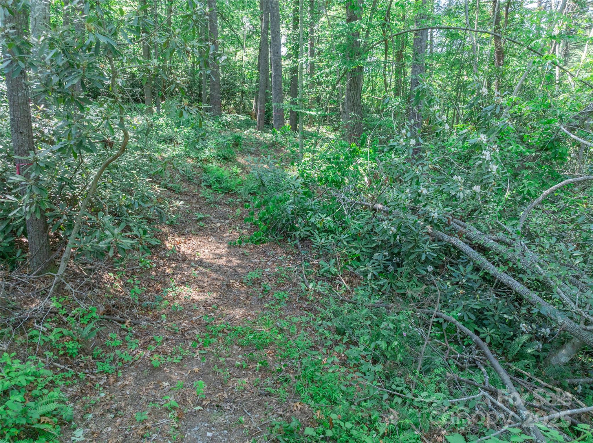 52 Trail Top Drive Property Photo 11
