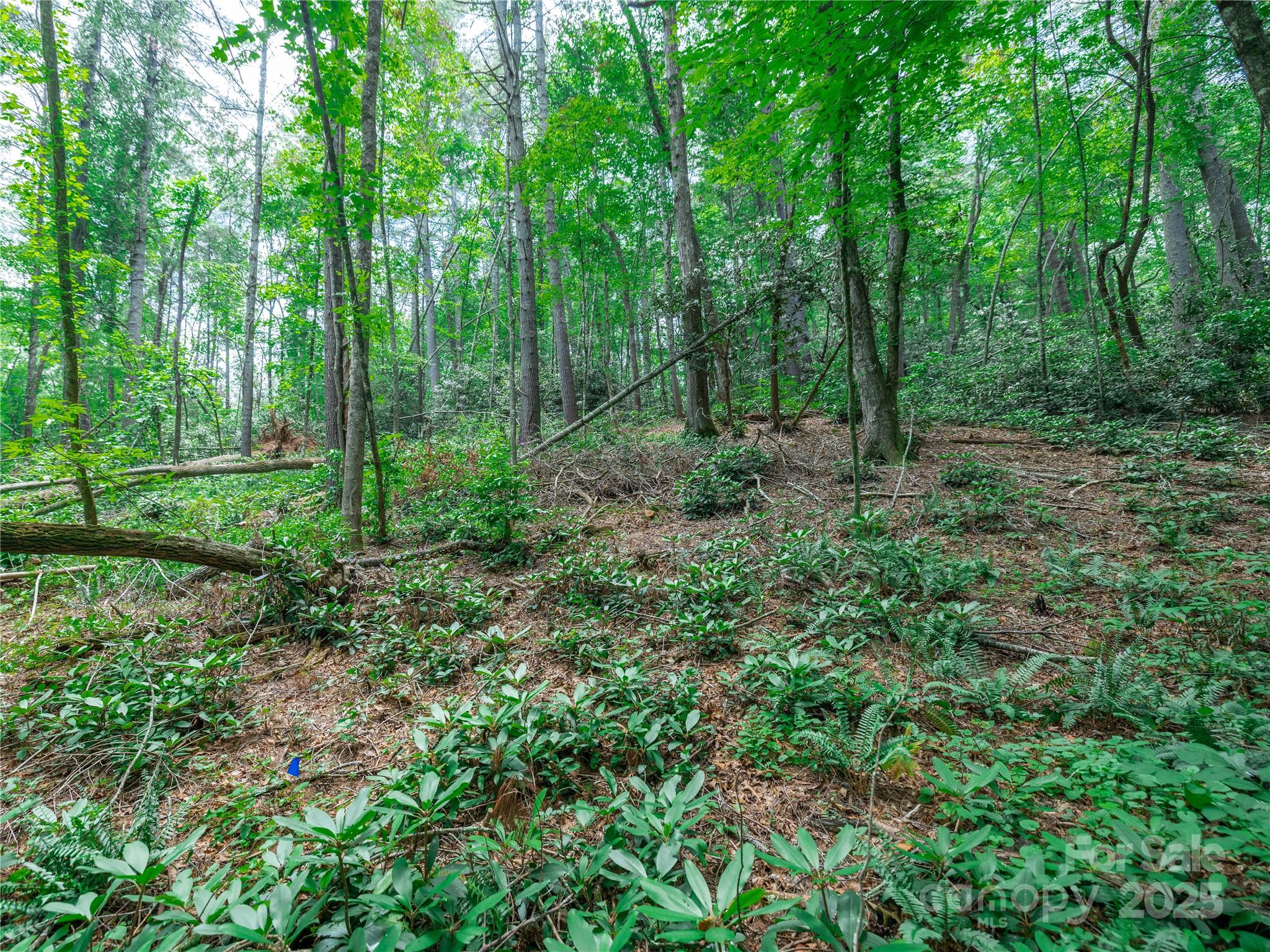 52 Trail Top Drive Property Photo 12