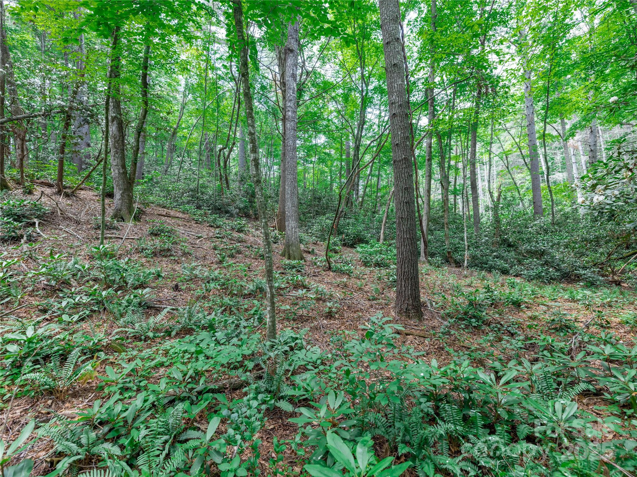 52 Trail Top Drive Property Photo 13