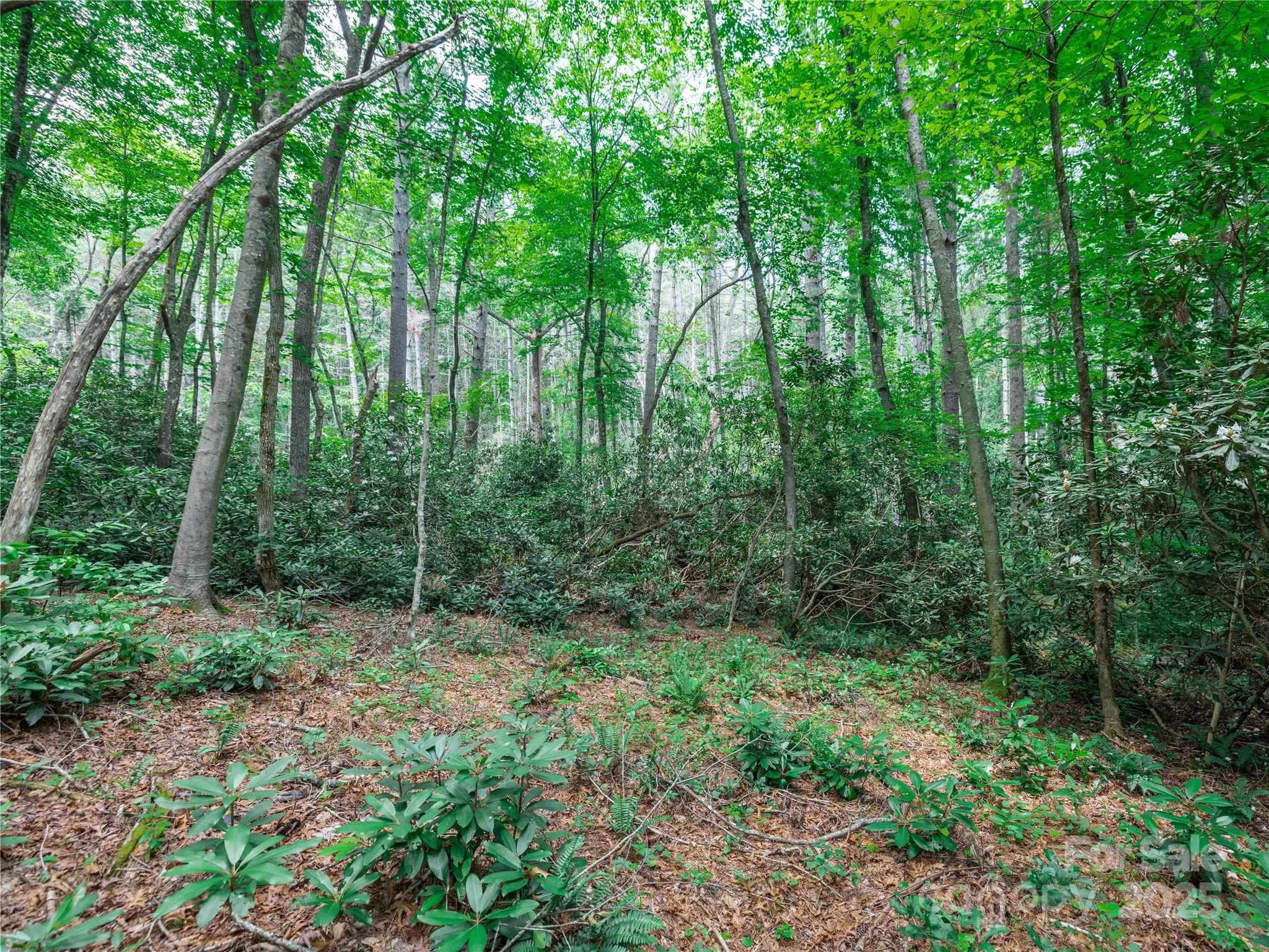 52 Trail Top Drive Property Photo 14