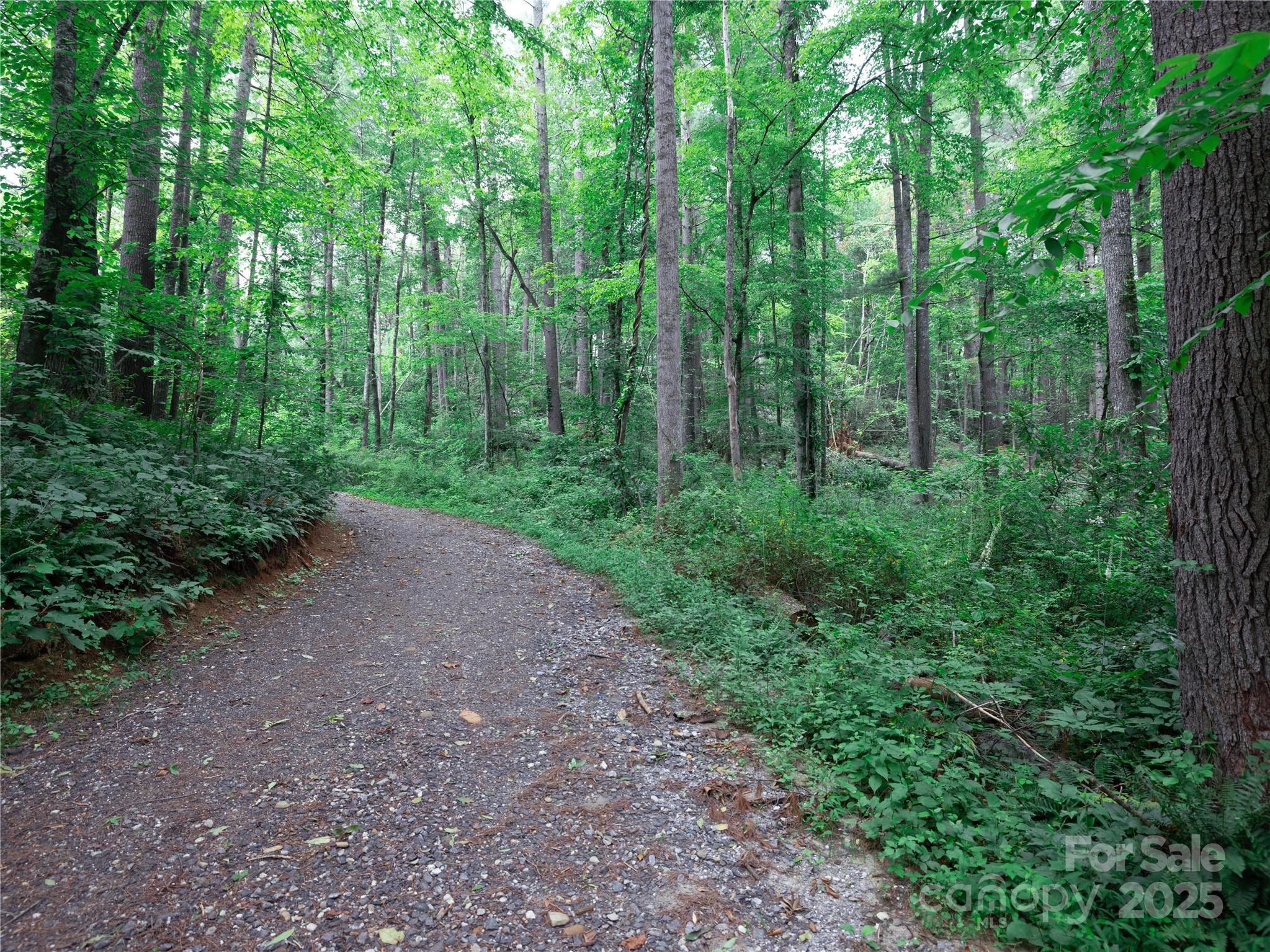 52 Trail Top Drive Property Photo 15